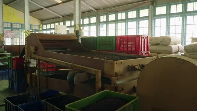 Automated machine sifts tea leaves in factory, separating stems for processing. Next stage in authentic tea production captured in real-time. Tea quality control, packaging prep with modern machinery.