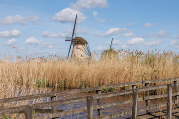 Die Windmühlen von Kinderdijk in den Niederlanden