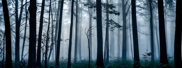 Foggy Woodland Wonderland, Explore a Forest Enveloped in Thick Fog, Where Trees Emerge Like Ghostly Sentinels.