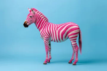 Fotobehang psychedelic pink striped zebra isolated on a blue background, portrait shot © Echelon IMG