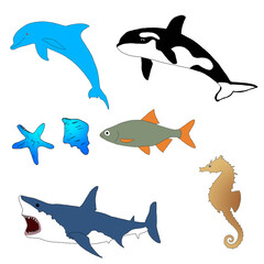 Sea Animals Set | Sea Animals Pack | A Group Of Sea Animals