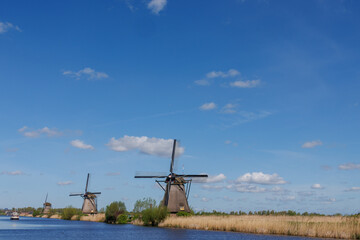 Naklejka premium Die Windmühlen von Kinderdijk