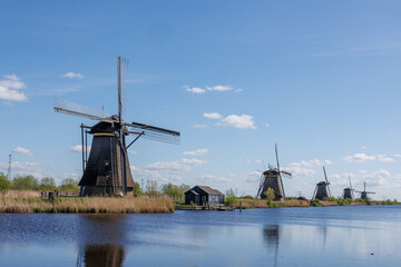 Naklejka premium Die Windmühlen von Kinderdijk