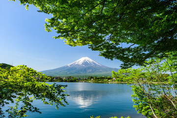 河口湖から富士山ともみじ