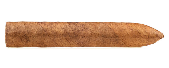 Big brown cigar isolated on a white background. Handcrafted cigar made with real tobacco leaves.