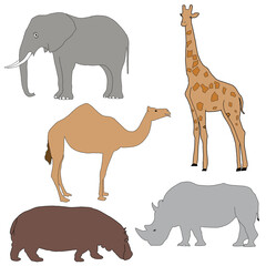 Wild Animal Set | Wild Animals Pack | Jungle Animals