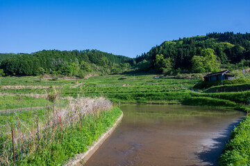 Fototapeta premium 日本の岡山県美咲町の棚田の美しい風景