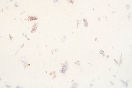 Paper white background from Japanese hand made pastel craft grey white mulberry flower rough textured.
