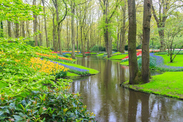 Scenic view of Keukenhof tulip garden in Lisse, Netherlands. Keukenhof is the most beautiful spring garden in the world. Beautiful ornamental garden landscape at Lisse, Netherlands