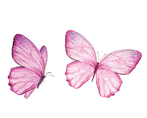 pink set butterfly pink watercolor blue butterfly set illustration design for fashion, t shirt, print, graphic all type decorative	