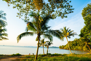 Fototapeta premium Sunset through tropical green tree forest on island sea beach