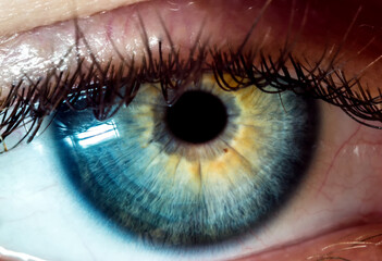 Eye close-up, details, super macro, technology, health, medicine, examination, microscope, bright,...