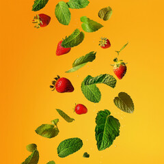 photograph of a swirl of flying mint and strawberry leaves on an orange-yellow background 