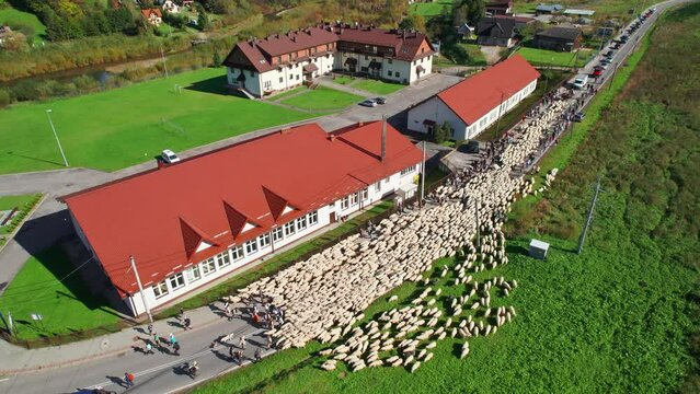 Traditional Redyk day celebration in Szczawnica, Poland