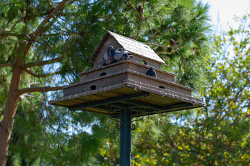 pigeon house made by human in Kusadasi park Turkey