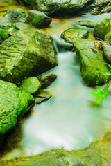 Small stream with gentle smoothing flowing water moves through mossy rocks in the natural water source