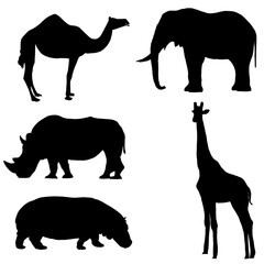 Black Wild Animals Illustration | Wild Animal Set | Animals Collection