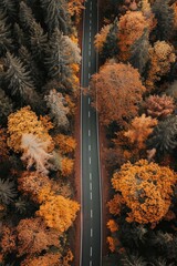 Aerial top view of an asphalt road going through an autumn forest

