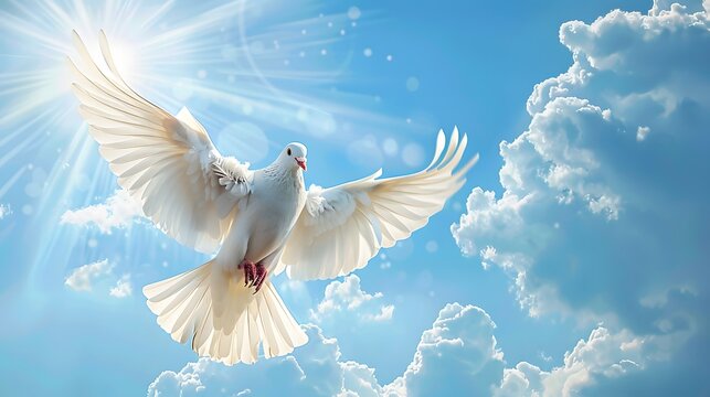 A white dove flaps its wings in the blue sky, with clouds and sunshine behind it. The picture is bright and clean, with a sense of freedom and calmness. White doves symbolize peace and tranquility