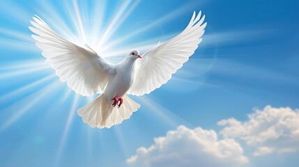 Fototapeta premium A white dove flaps its wings in the blue sky, with clouds and sunshine behind it. The picture is bright and clean, with a sense of freedom and calmness. White doves symbolize peace and tranquility