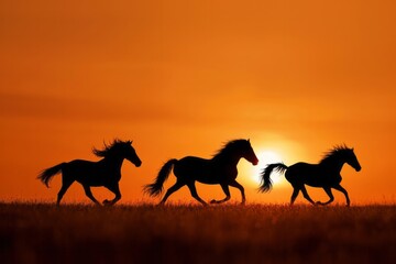 Silhouette of running horses against a sunset background
