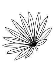 Hand drawn brunch with palm leaves. Doodle vector illustration. Isolated icon on the white background.