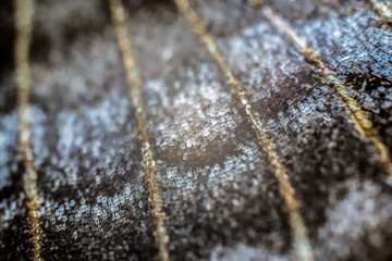 Butterfly wing close-up, macro, details, insects of Ukraine, nature, beauty, cute, microscope