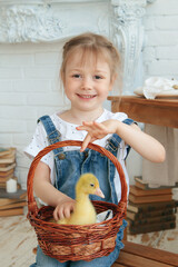 Cute girl 5 years old, with a duckling in a basket, smiling. Easter. Studio. Close-up. Selective focus. Copyspace