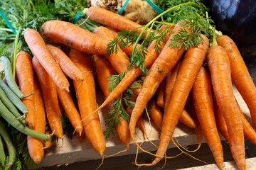 Bunch on fresh orange carrots with green on wooden box