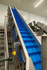 Fresh fruits and berries processing equipment, sorting, making juice, jams, juice concentrates,...