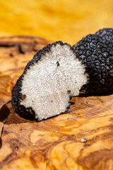 Cooking with Italian black summer truffle, tasty aromatic mushroom, close up