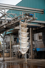 Fresh vegetables processing equipment after harvesting, storage, sorting, washing, cutting, packing, agriculture in Netherlands