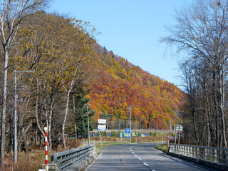 北海道の紅葉