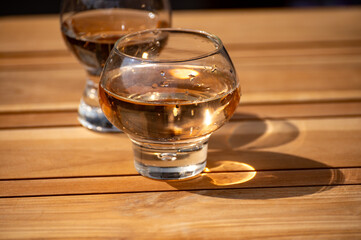 Brut apple cider from Betuwe, Gelderland, in glass, apple cider production in Netherlands
