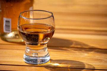 Brut apple cider from Betuwe, Gelderland, in glass, apple cider production in Netherlands