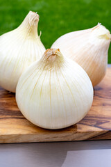 White sweet doux french salad onions vegetables on food market close up