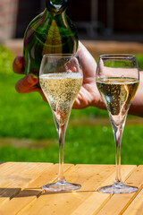 Picnic in summer garden with glasses of brut champagne sparkling wine or cava, cremant produced by...