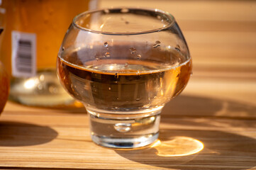 Brut apple cider from Betuwe, Gelderland, in glass, apple cider production in Netherlands