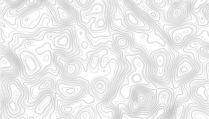 abstract Geographic backdrop and Geographic setting map contour vector design. topographic map. geography map contour background.  - obrazy, fototapety, plakaty