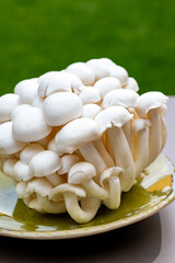 White and brown shimeji edible mushrooms native to East Asia, buna-shimeji is widely cultivated and rich umami tasting compounds