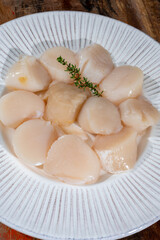 Atlantic bay cleaned scallops coquille St. James sea shells, catch of the day in Normandy or...