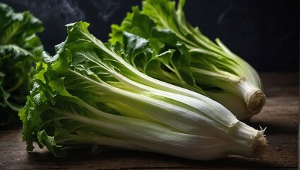 A fresh bunch of endive