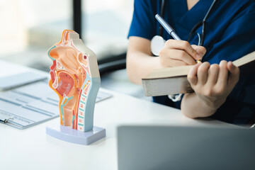 Medical students analyze human anatomical model on the table, review examine the concept of finding...