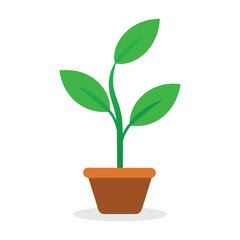  small tree on tob flat vector illustration on white background.