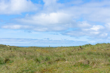 Gras bewachsene Dünen mit leicht bewölktem, blauen Himmel im Naturschutzgebiet von Noordholland im  Molecaten Park Noordduinen