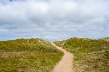Fototapeta na wymiar Kleiner Pfad zwischen den Dünen der Bergauf geht bei sonnigem Wetter mit bewölktem Himmel im Naturschutzgebiet von Noordholland im Molecaten Park Noordduinen