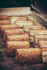 Freshly baked loaves of bread on a baking tray, vertical