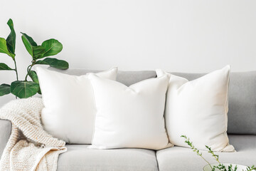 Mock up. White cushion on couch in living room interior