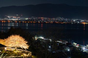桜がライトアップされた諏訪湖の夜景