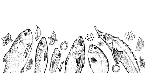 Horizontal border of spices and fishes drawing on white background. Vector food illustration. Sketch illustration of fish and spices for restaurant decoration.